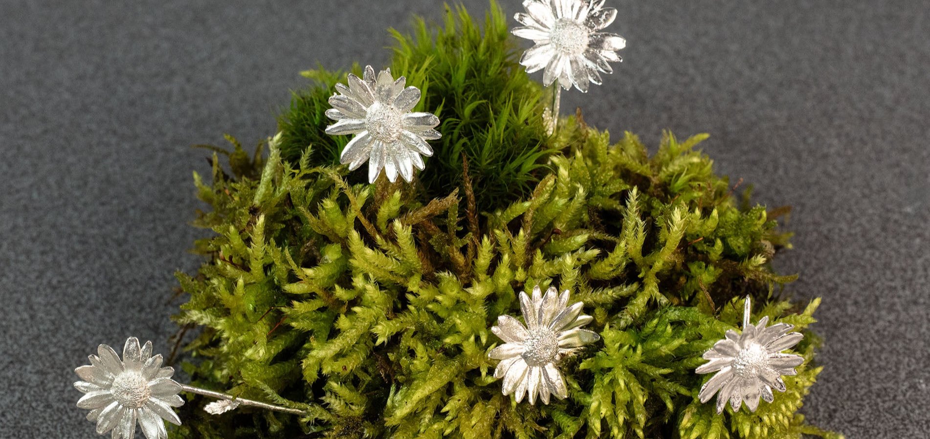 Sterling 925 silver daisy flower brooches arranged on a bed of green moss, set against a dark gray background.